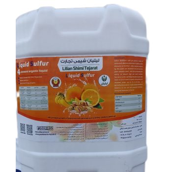 photo_2024-10-21_22-36-38